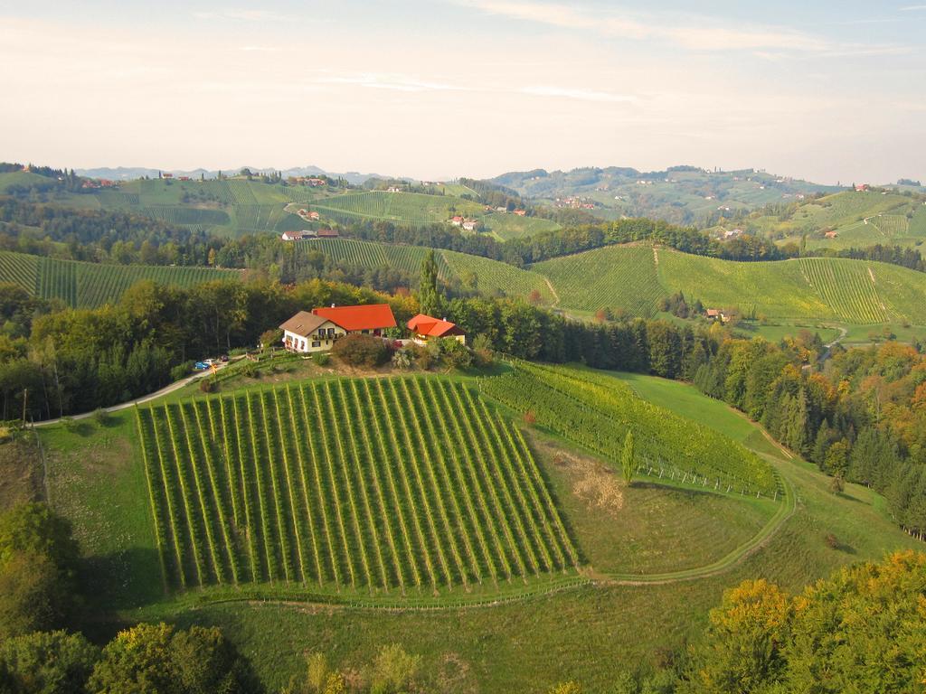 Апартаменти Weingut- Gaestezimmer Marko Лойчах Екстер'єр фото