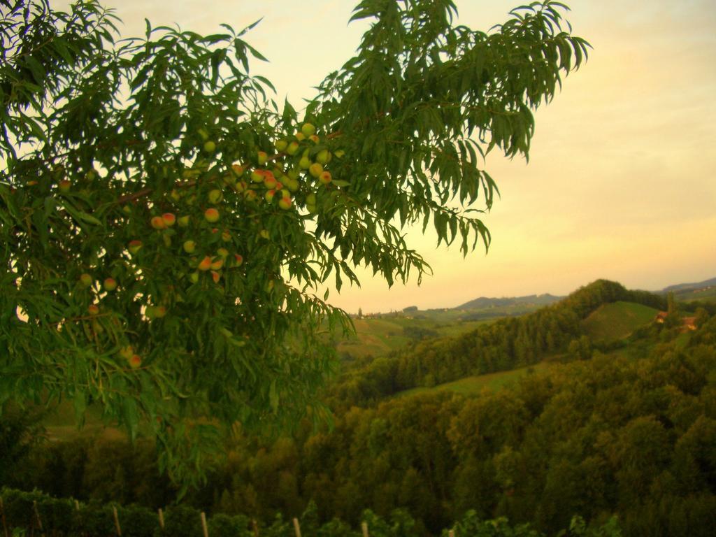 Апартаменти Weingut- Gaestezimmer Marko Лойчах Екстер'єр фото