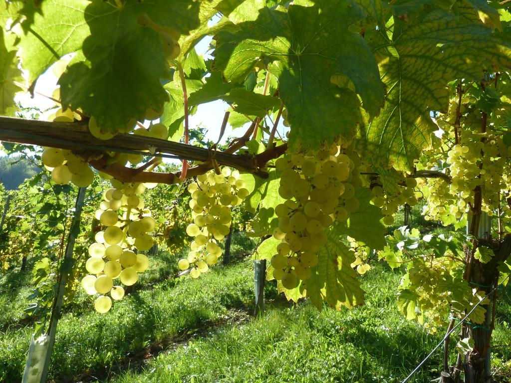 Апартаменти Weingut- Gaestezimmer Marko Лойчах Екстер'єр фото