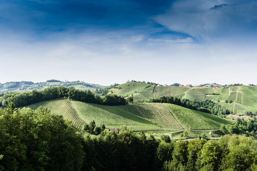 Апартаменти Weingut- Gaestezimmer Marko Лойчах Екстер'єр фото