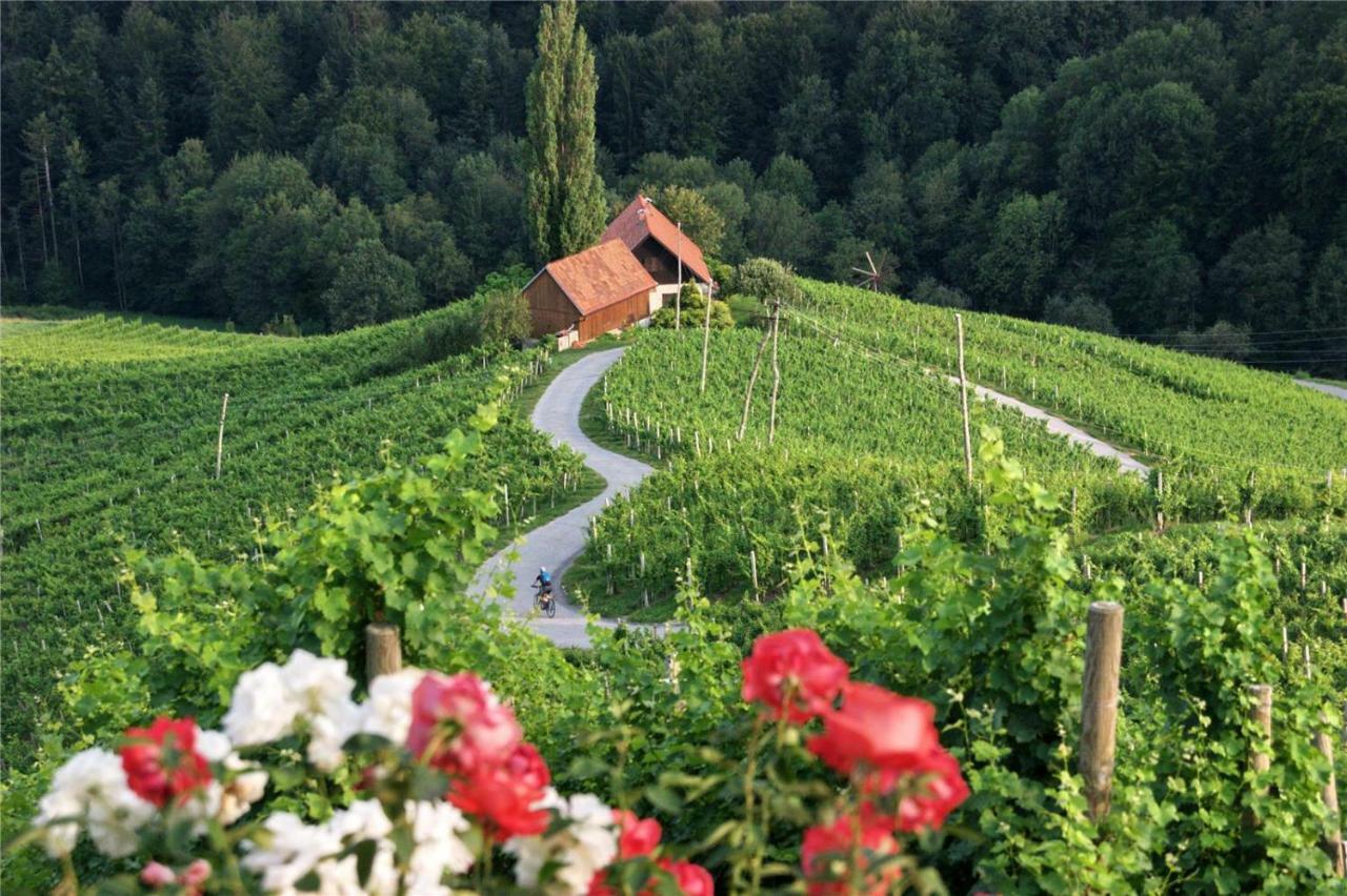 Апартаменти Weingut- Gaestezimmer Marko Лойчах Екстер'єр фото